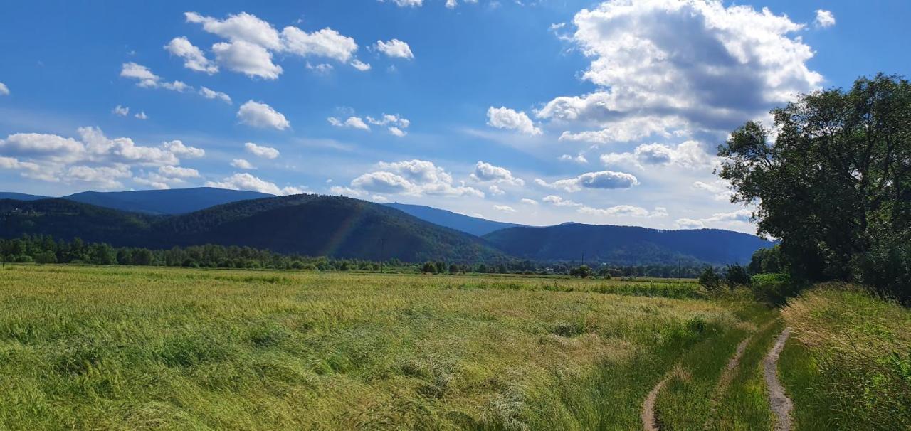 Apartament Wita Stwosza Jelení Hora Exteriér fotografie