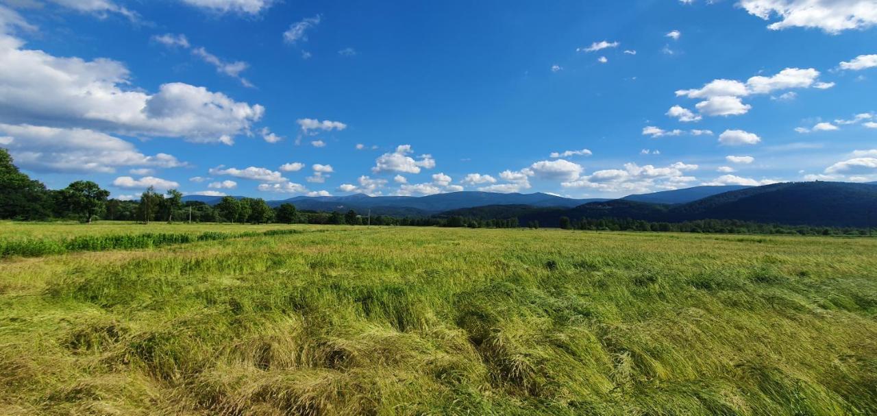 Apartament Wita Stwosza Jelení Hora Exteriér fotografie
